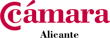 IBIAE asistirá al pleno de la Cámara de Alicante